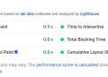 Screenshot of Google PageSpeed Insights website evaluation.