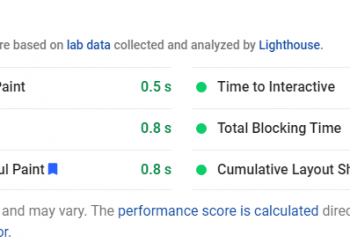 Screenshot of Google PageSpeed Insights website evaluation.