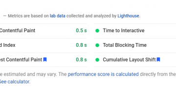 Screenshot of Google PageSpeed Insights website evaluation.