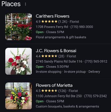 Example of the Google Business Profile 3-Pack